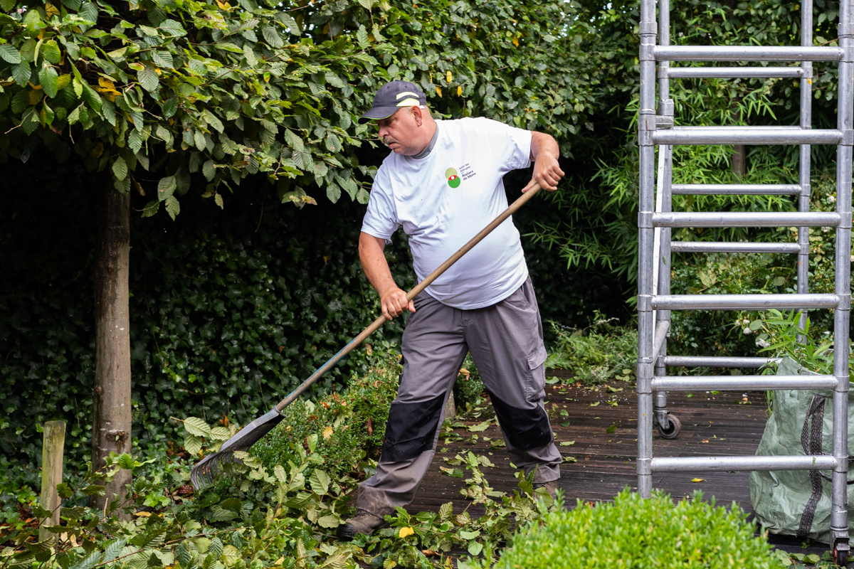 Pourquoi faire appel à une ETA pour l'entretien de vos espaces verts ?