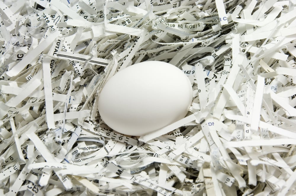 Egg in a nest of shredded paper