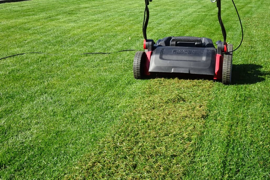 Les avantages de la scarification pour votre pelouse